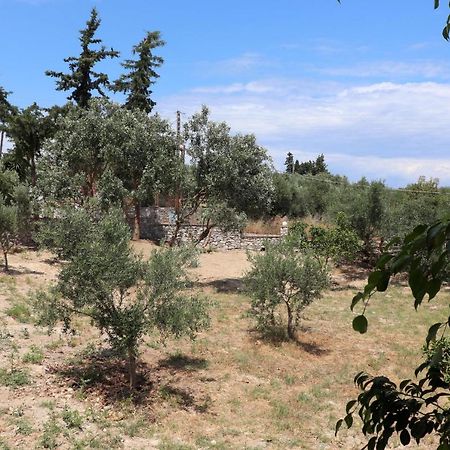 Anastassia Og Διαμέρισμα Koróni Εξωτερικό φωτογραφία