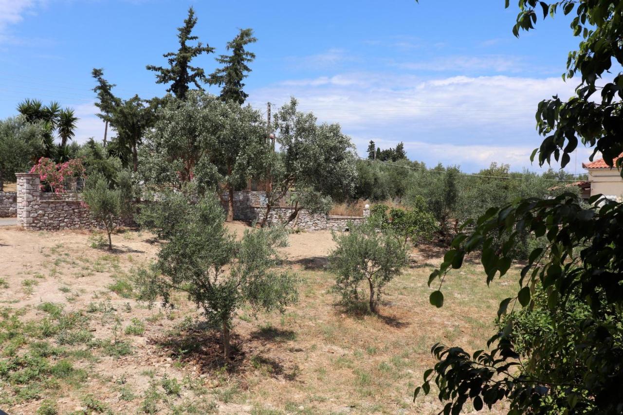 Anastassia Og Διαμέρισμα Koróni Εξωτερικό φωτογραφία